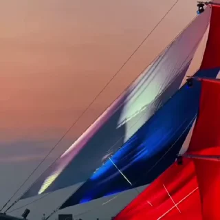 🌟