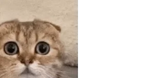😨