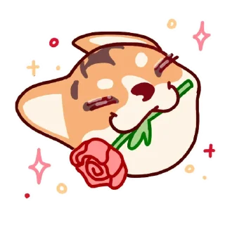 🌹