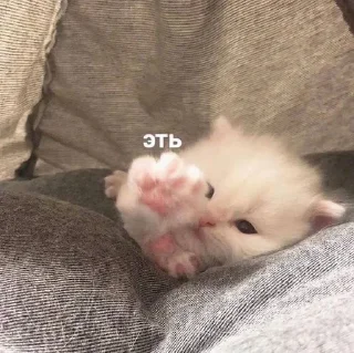 👊