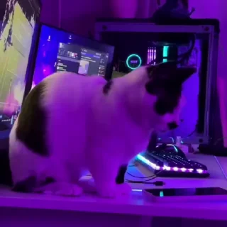 🤨