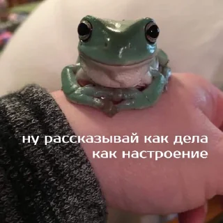 👋