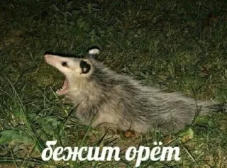 😰