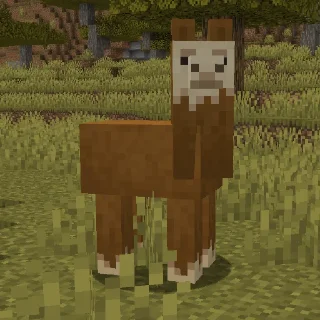 🦙
