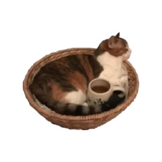 прекрасная пора @beliychocolad