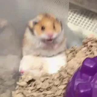 😧