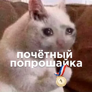 🤡
