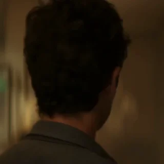 🕷