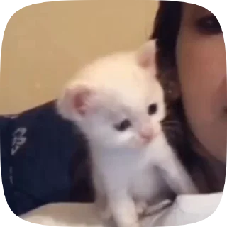 😘