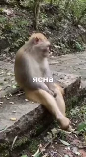 😅