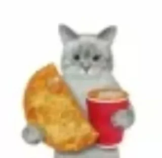 🌮