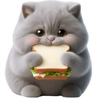 🥪