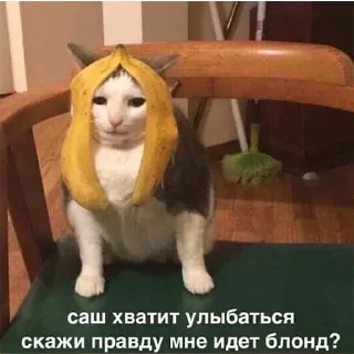 😶‍🌫️