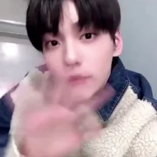 🐾