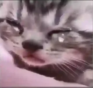 🥺