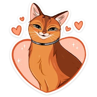 ❤️