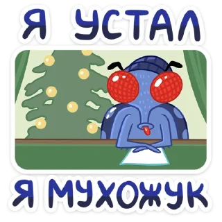 😴