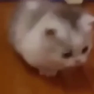 🥺