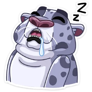 😴