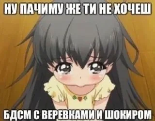 😿