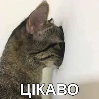 👀