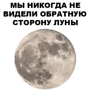 🌚