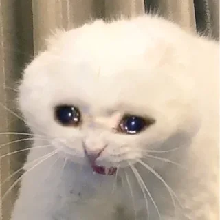 😭