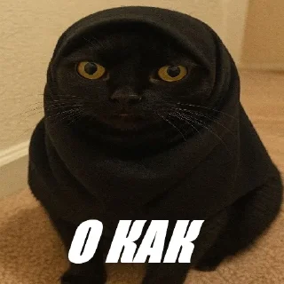😎