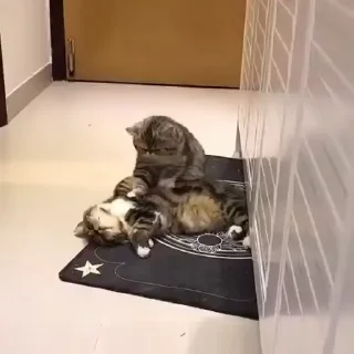 💕