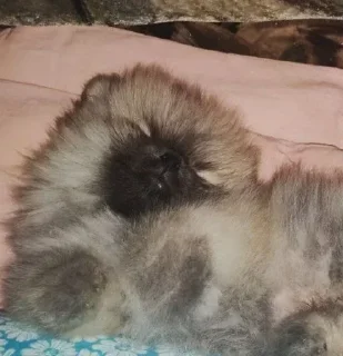 😴
