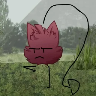 🐈