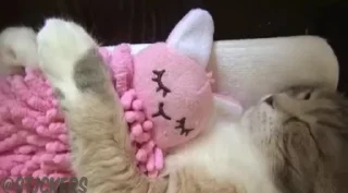🫂
