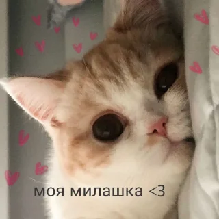 🥰