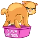 💩