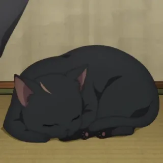 😽