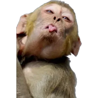 😝