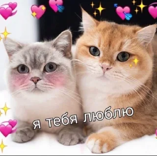 💞