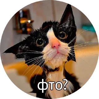 😮