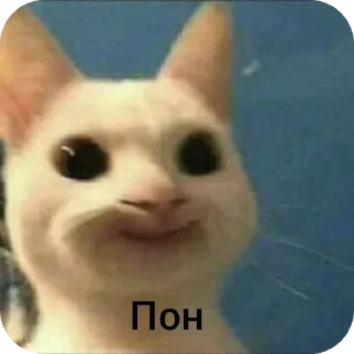 👍