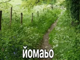 😮