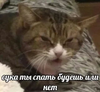 🤍