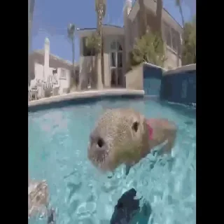 😚
