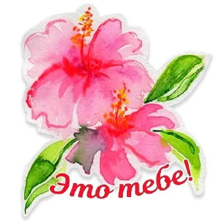 🌺