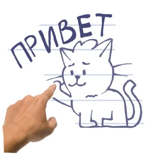 👋