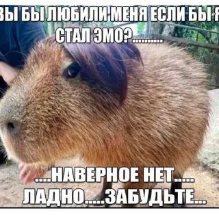 😥