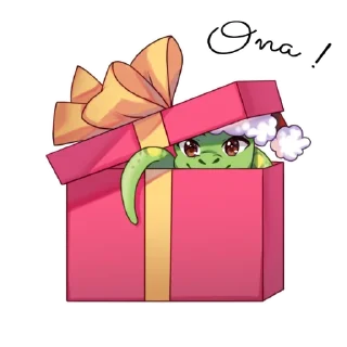 🎁