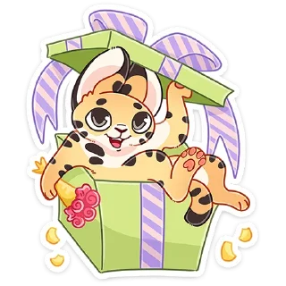 🎁