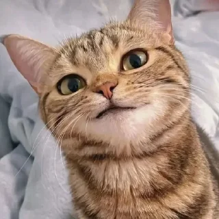 😏