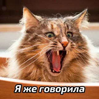 😄