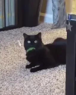 😋
